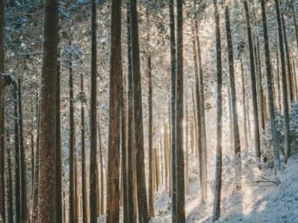 Во Владивостоке без осадков, -9°С