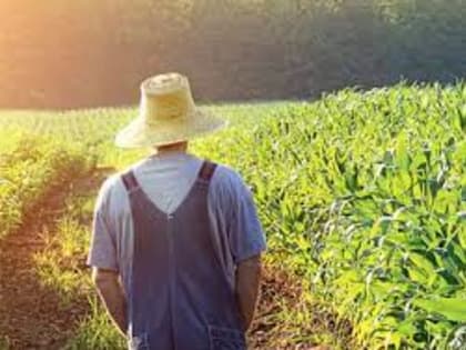 Фермеры просят отменить акцизный сбор на топливо. И обнулить экспортные пошлины на зерно