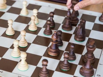 Крупнейший на Дальнем Востоке шахматный фестиваль пройдет во Владивостоке