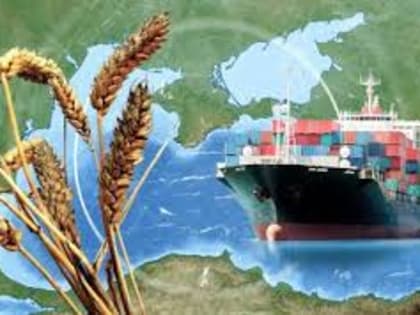 МИД: Россия вернется к зерновой сделке после вывода ее сельхозпродукции на мировые рынки