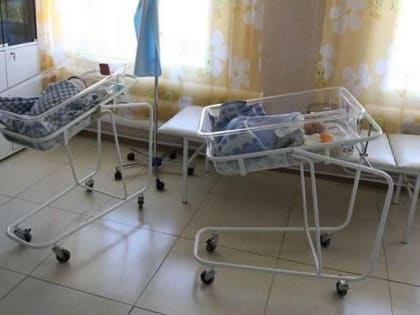 Рождение в краевом центре: Владивосток ведет по числу новорожденных