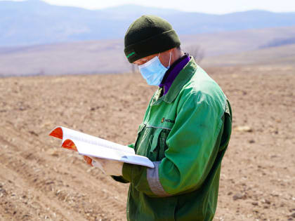 Приморскстат уточнил, какие сельскохозяйственные культуры оказались «рекордсменами» в 2022 году