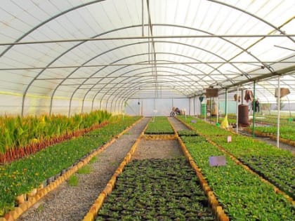 В Приморье наладят производство «искусственной почвы» для теплиц