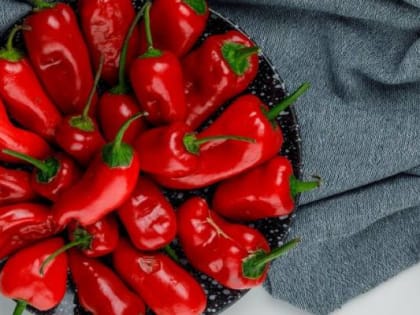 Свежий острый перец с вирусом из КНР забраковали в Приморье