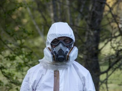 Туристам стоит быть осторожнее: в Китае зафиксирована вспышка метапневмовируса человека