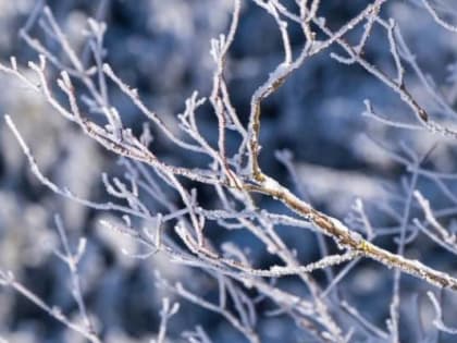 Во Владивостоке без осадков, -9° С