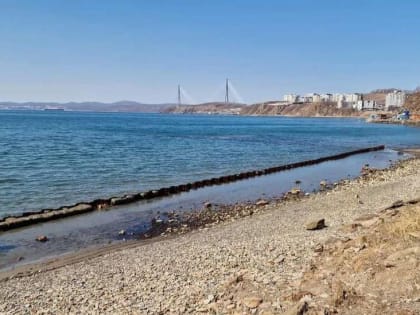 Известный приморский миллиардер 