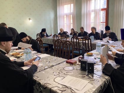 Митрополит Владимир принял участие в заседании комиссии Межсоборного Присутствия по церковному управлению, пастырству и организации церковной жизни