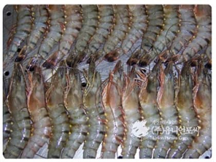 Экспорт морепродуктов из Вьетнама в США может восстановиться во второй половине 2023 года