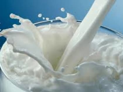 Производство молока в России выросло за год почти на 500 тысяч тонн