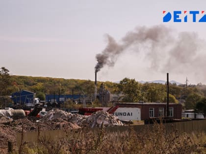 Дальний Восток продолжают развивать: мега-проект на разделенном острове и кампус для китайцев в несуществующем городе