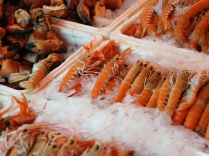 Очередные аукционы на квоты по добыче морепродуктов монополизируют отрасль