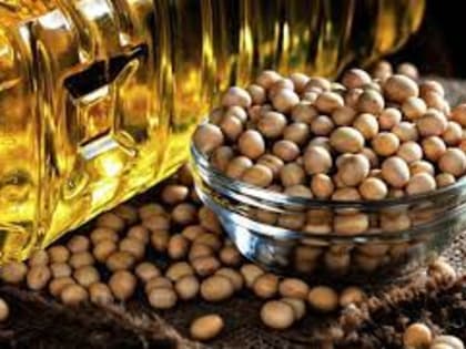 Запасы соевого масла в США в конце июня были минимальными за последние 7 месяцев