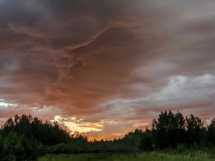 17 сентября Приморье заденет волновой циклон, а 19 сентября через край пройдет холодный фронт