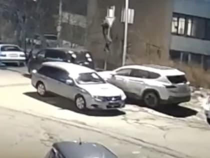 Полиция ищет автоподставщиков, заменивших дорожные знаки во Владивостоке — видео