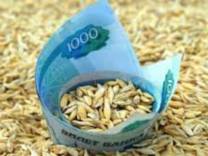 Поставки зерна и продуктов его переработки из РФ в КНР в 2023 году выросли в три раза