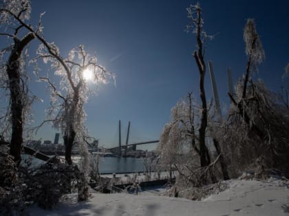 «Опасно для жизни». Самый точный синоптик сказал, что 15 января ждет Владивосток