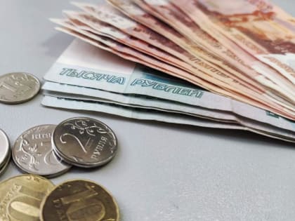 В Хабаровском крае возбуждено уголовное дело по факту крупного мошенничества