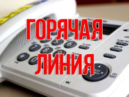Горячая линия