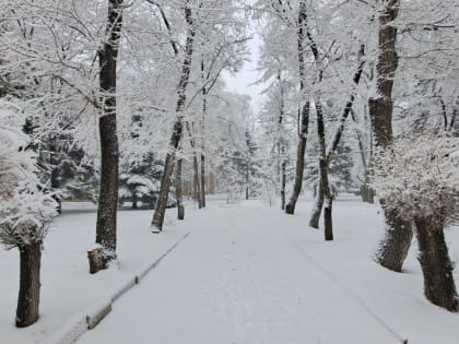 СНЕГОПАД 19 ФЕВРАЛЯ ДОСТАВИЛ НЕУДОБСТВА ОКТЯБРЬЦАМ