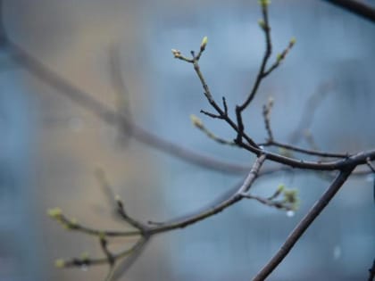 Прогноз погоды в выходные порадует приморцев