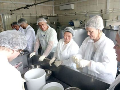 Фермеры, козлята и сыр-косичка