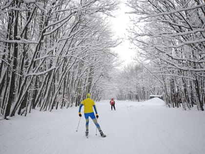 16 тысяч человек приняли участие в мероприятиях декады спорта и здоровья в Приморье