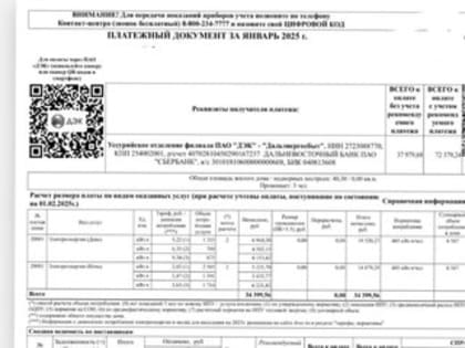 Жители Уссурийска 'падают в обморок' от новых счетов за свет