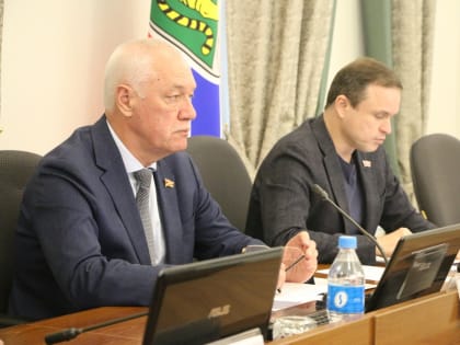 Комитет по бюджету, налогам и финансам поддержал корректировку бюджета Владивостокского городского округа на 2024-2026 годы