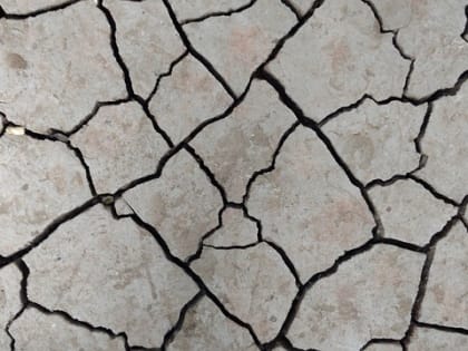 «Дом трясло и шкаф. Страшновато». Жители Приморья рассказали про землетрясение