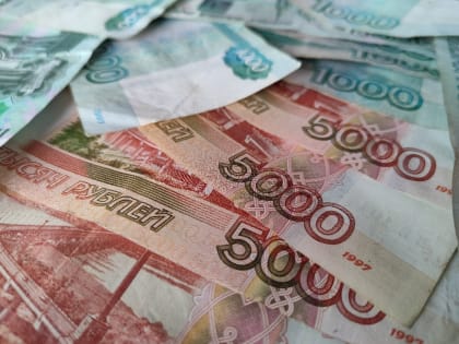 У жителя Приморья нашли 2600 особей трепанга