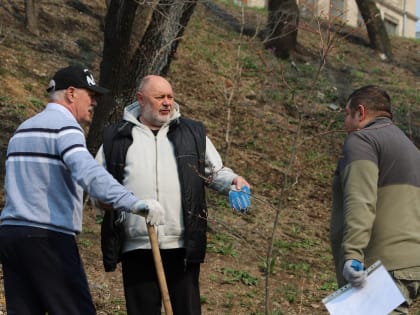 Депутаты и сотрудники аппарата Думы города Владивостока приняли участие в общегородском субботнике