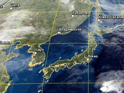 «Возможны жертвы». Синоптики сказали, что обрушится на Приморье сегодня до 20:00