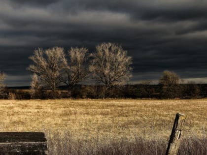 «Готовьтесь к тихому ужасу с 1 сентября». Синоптики сказали, что начнется