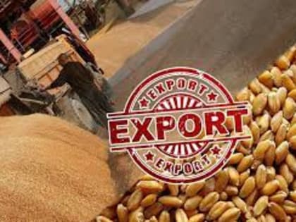 Минсельхоз РФ может повысить прогноз экспорт зерна в этом сельхозгоду