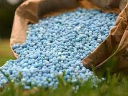 Аналитик Хазанов: потери в сфере производства удобрений составили 5,5 миллиарда долларов