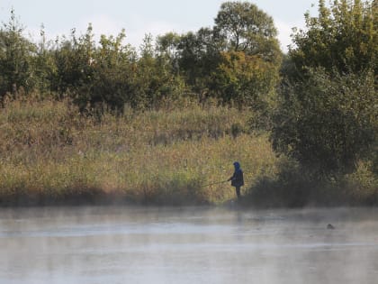 В Приморье распределили объемы добычи лосося для КМНС