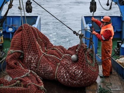Создание колледжей для рыбной отрасли на Дальнем Востоке