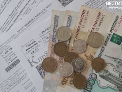 Некоторых граждан освободят от пеней и комиссий при оплате услуг ЖКХ