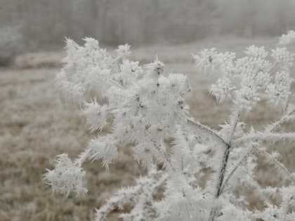 Синоптики: морозы и снег принесет новая рабочая неделя