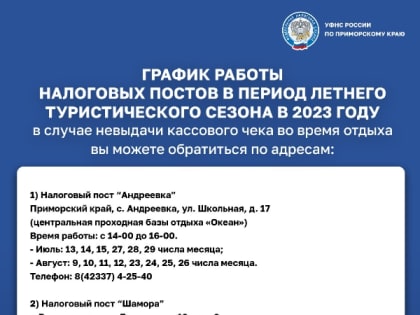 Налоговые посты в Приморье возобновляют работу. Жители края смогут обратиться за помощью к налоговикам
