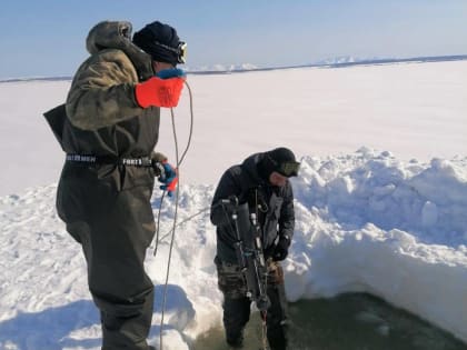 Российско-китайская экспедиция исследовала влияние вулканов на прибрежные экосистемы Камчатки