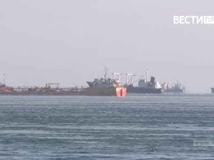 Япония ввела санкции против девяти российских компаний, в том числе из Приморья