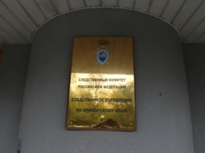 В Надеждинском районе возбуждено уголовное дело в отношении несовершеннолетнего, который обвиняется в совершении кражи с банковской карты