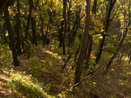 В лесу найдена женщина, бросившая малютку водителю такси