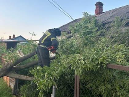 На Уссурийск обрушились ливень и ураганный ветер