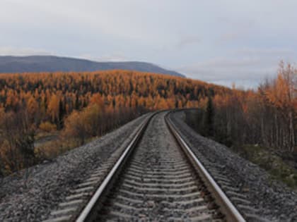 'Более двух часов в поле': ситуация на железной дороге возмутила приморцев