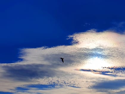 Погода в Приморье оказалась во власти гребня антициклона