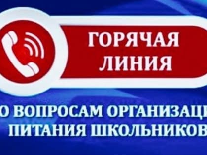 «Горячая линия» по вопросам организации питания в школах