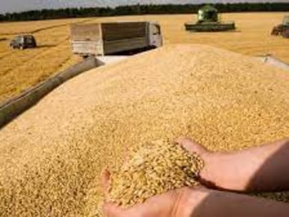Экспорт зерна близок к коллапсу